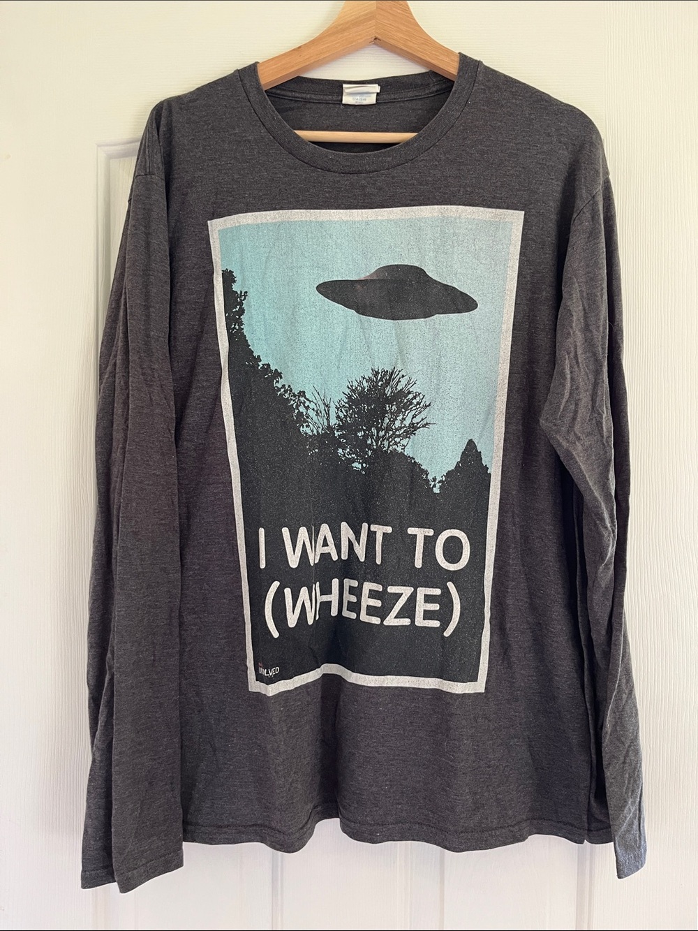 I Want To (Wheeze) Graphic Long-Sleeve Tee - Charcoal